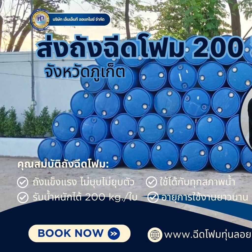 454503242 1023453879782752 7895738919390761941 n