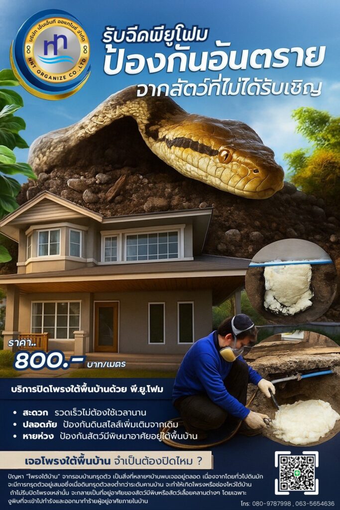 สนใจฉีดพียูโฟมใต้พื้นบ้านติดต่อ 𝟎𝟔𝟑 𝟓𝟔𝟓 𝟒𝟔𝟑𝟔/𝟎𝟖𝟎 𝟗𝟕𝟖 𝟕𝟗𝟗𝟖 เบอร์นี้
ข้อดีของการฉี... 18 507136584 1282362463891891 7737343802709875746 n